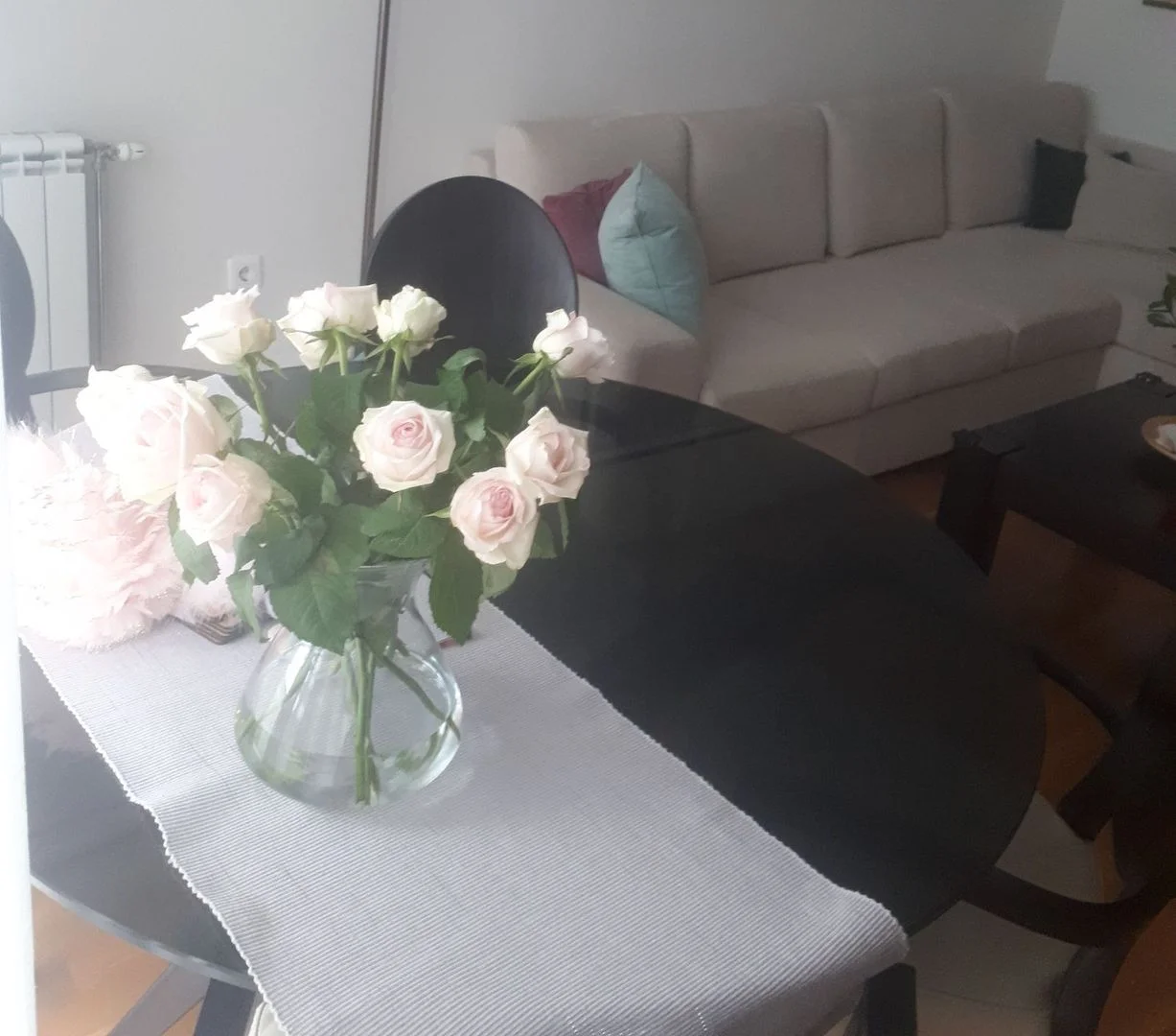 stan na prodaju Novi Sad 56m2 533059
