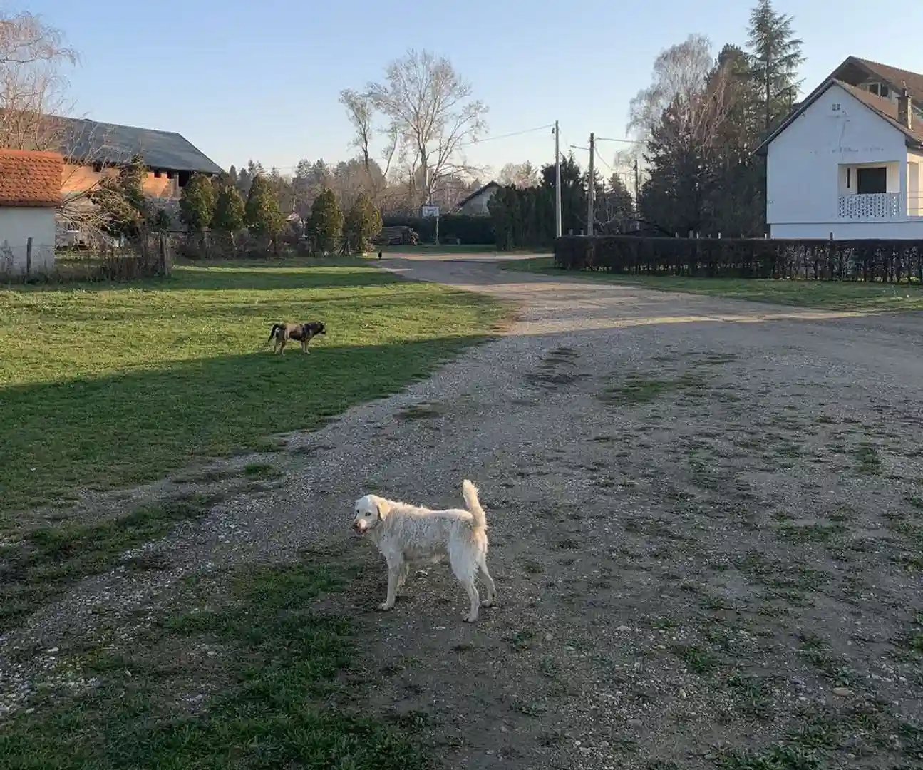 kuca na prodaju Susek 45m2 515847