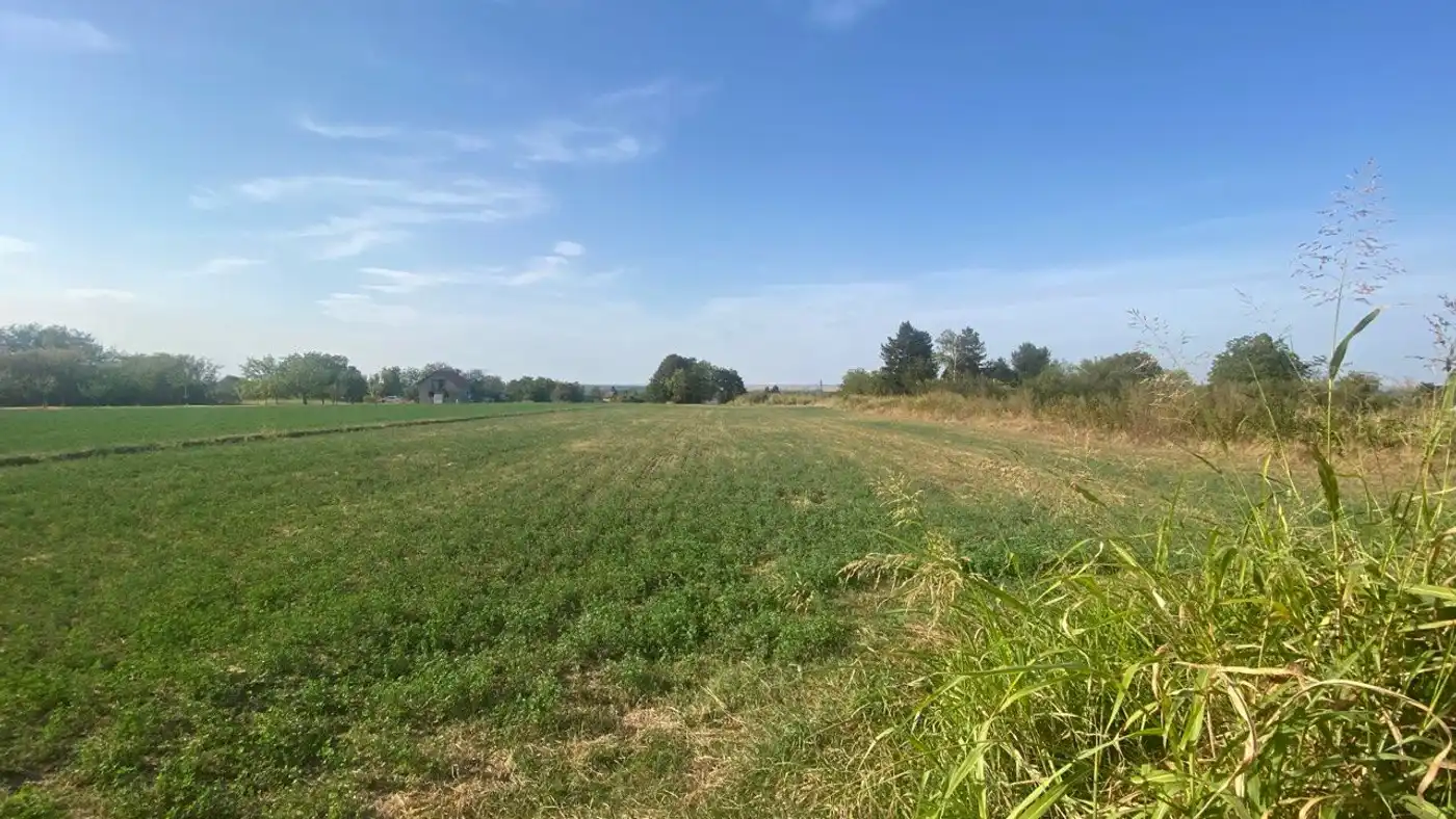 plac na prodaju Beška, 3597m2 533398