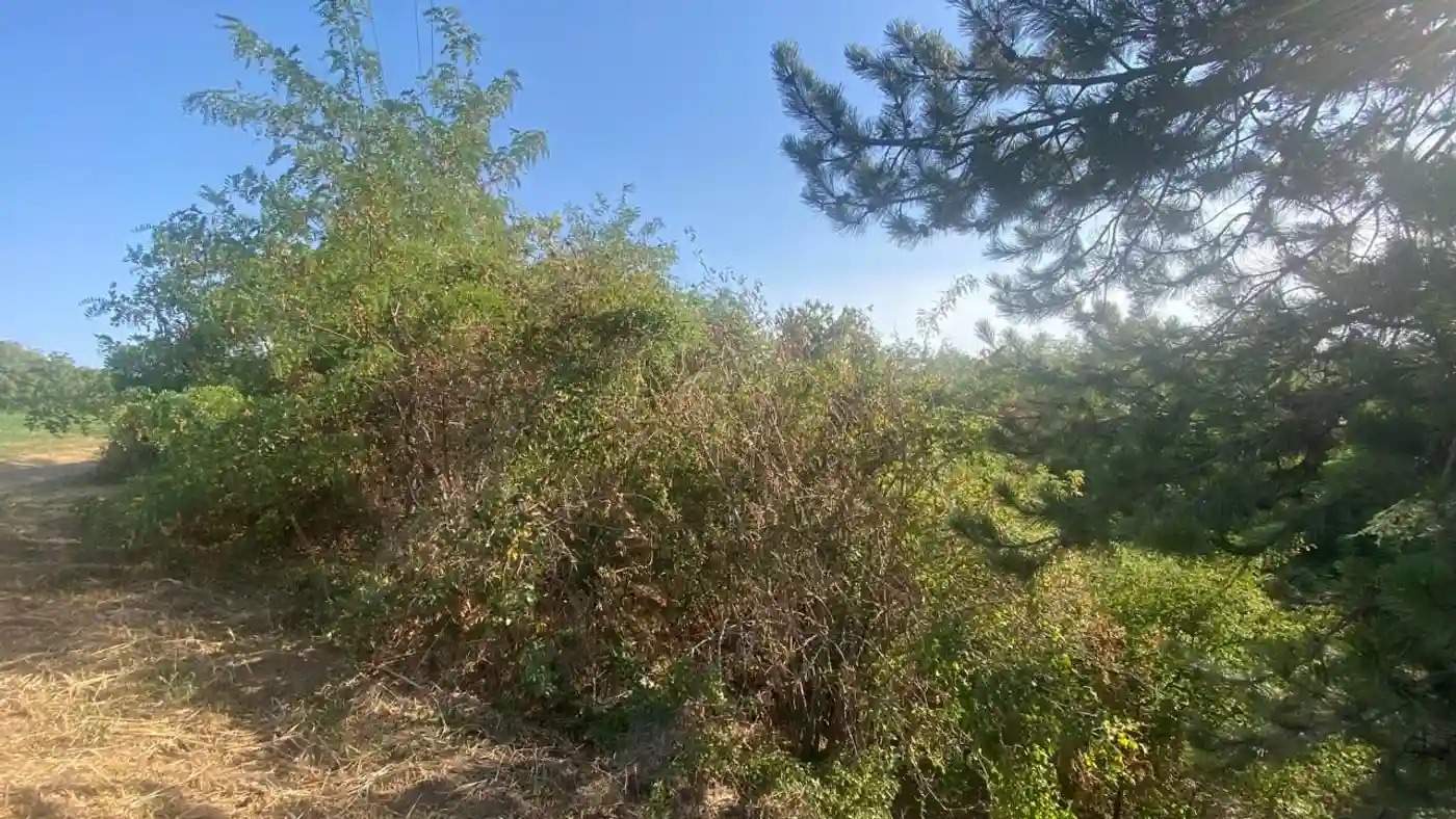 plac na prodaju Beška 3597m2 533398