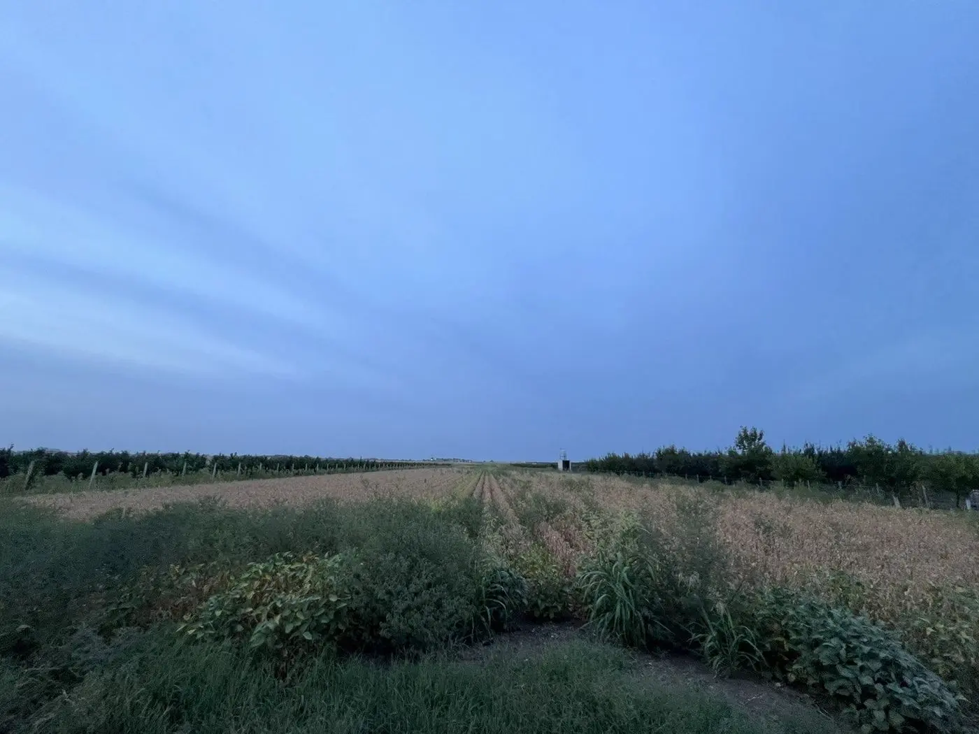 plac na prodaju Bački Jarak 5909m2 533598