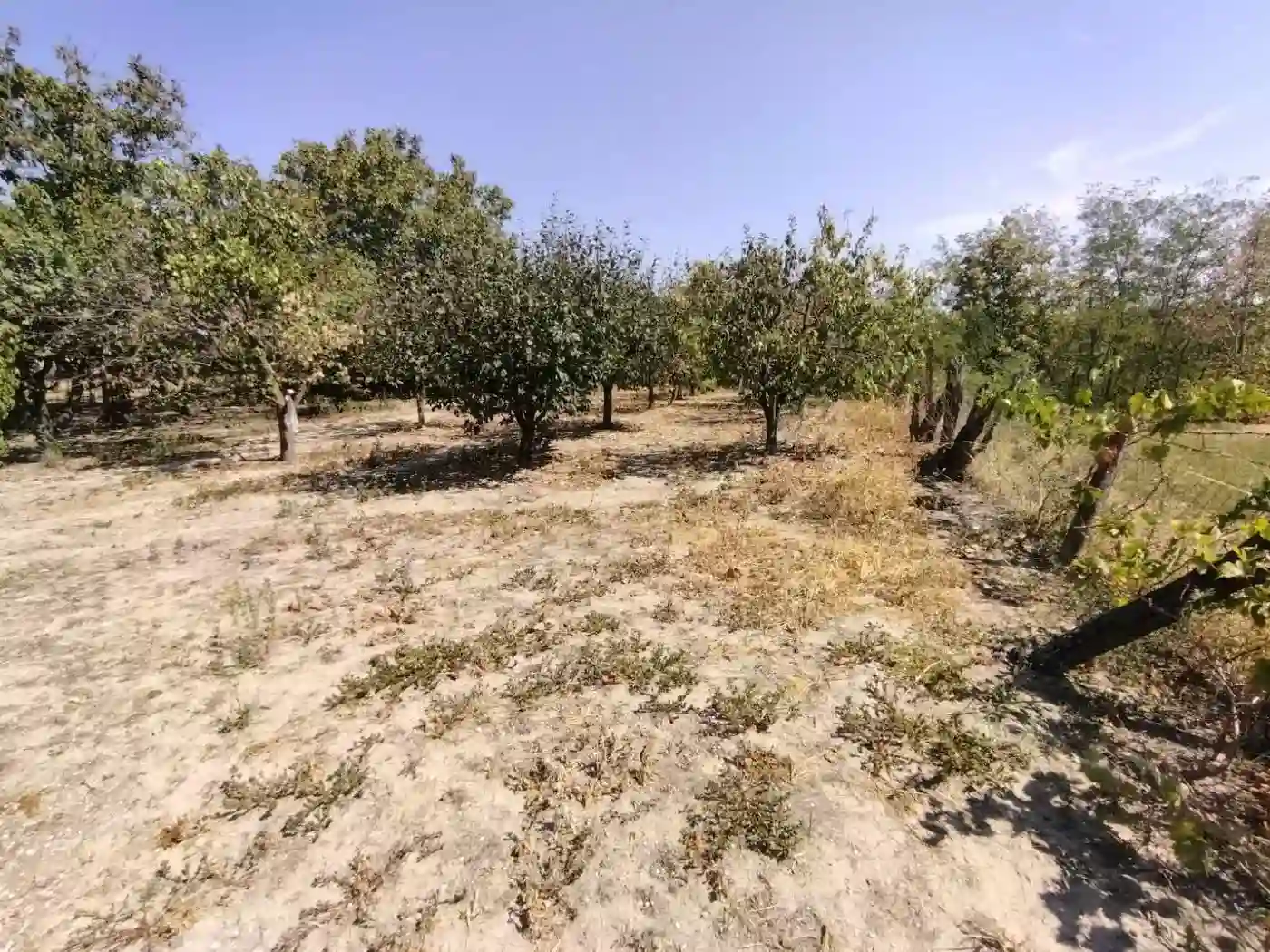 kuca na prodaju Vrdnik 80m2 533772