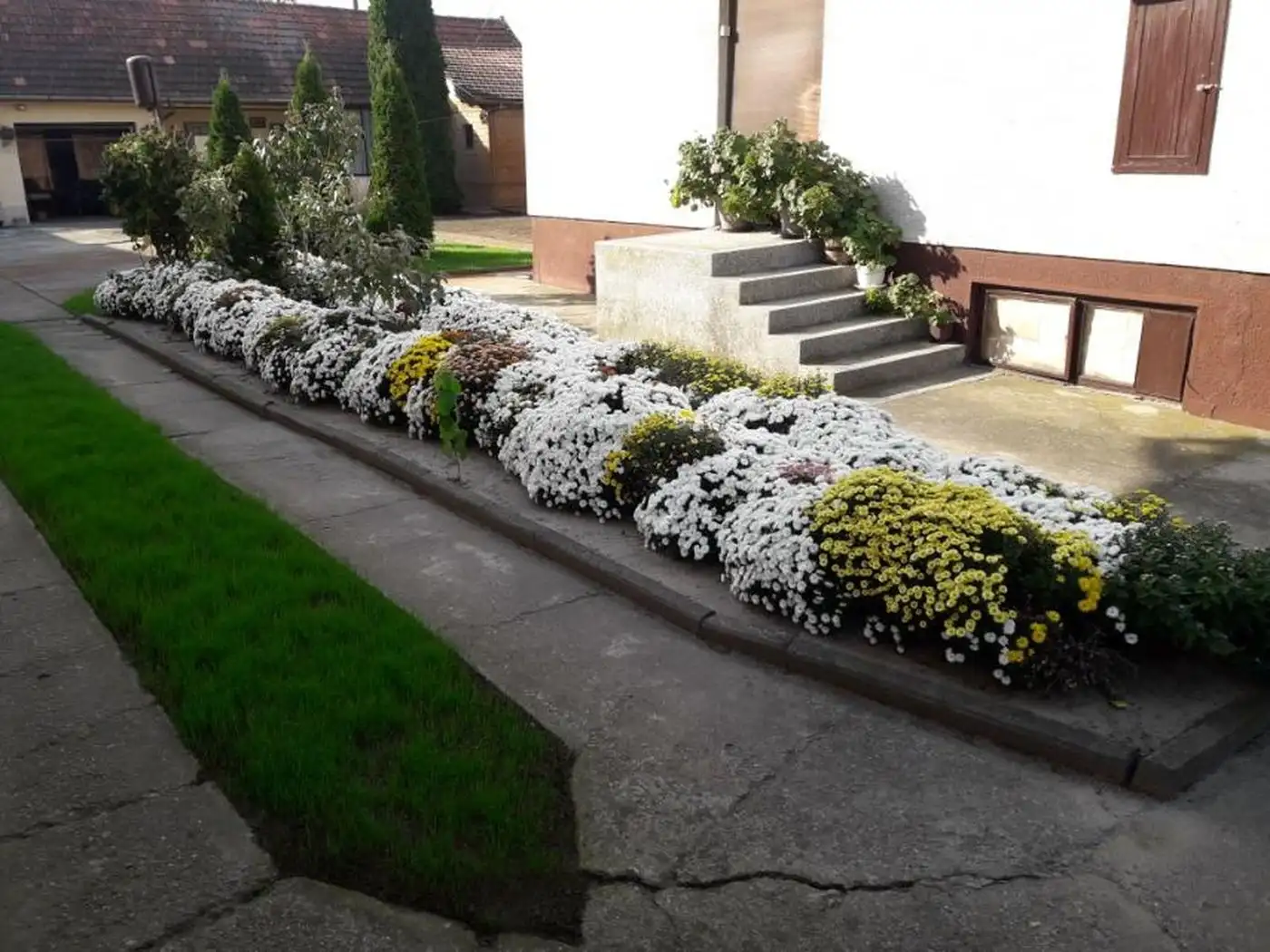 kuca na prodaju Bačka Palanka 150m2 533731