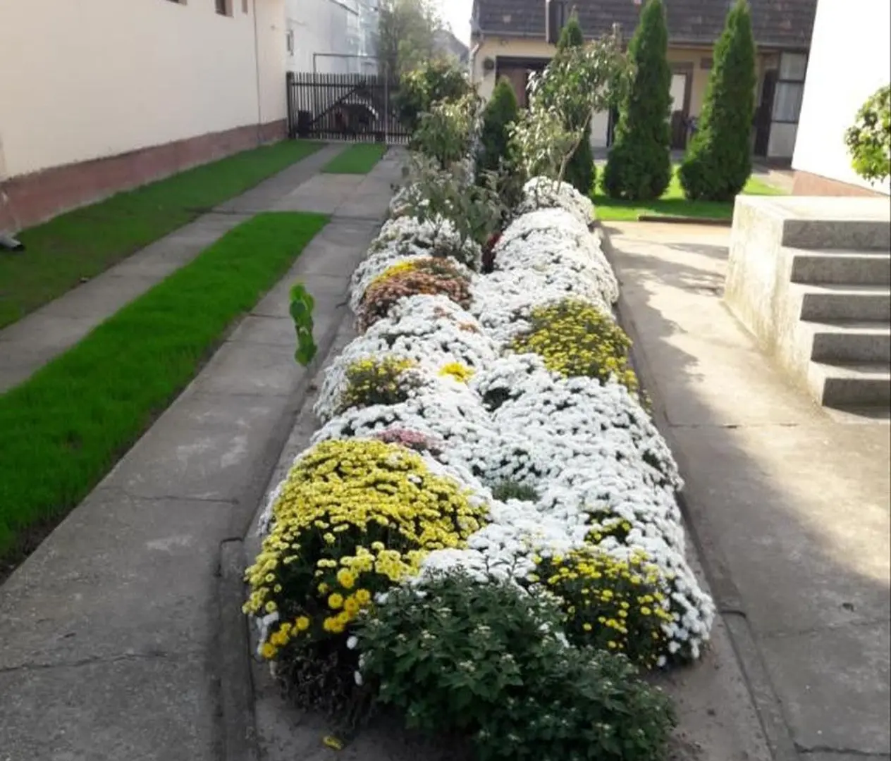 kuca na prodaju Bačka Palanka 150m2 533731