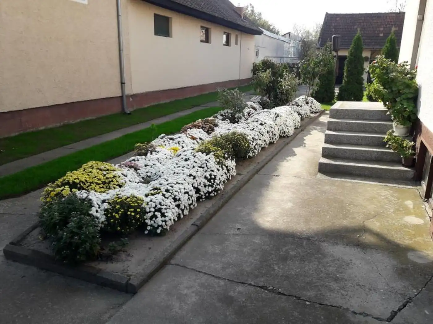 kuca na prodaju Bačka Palanka 150m2 533731