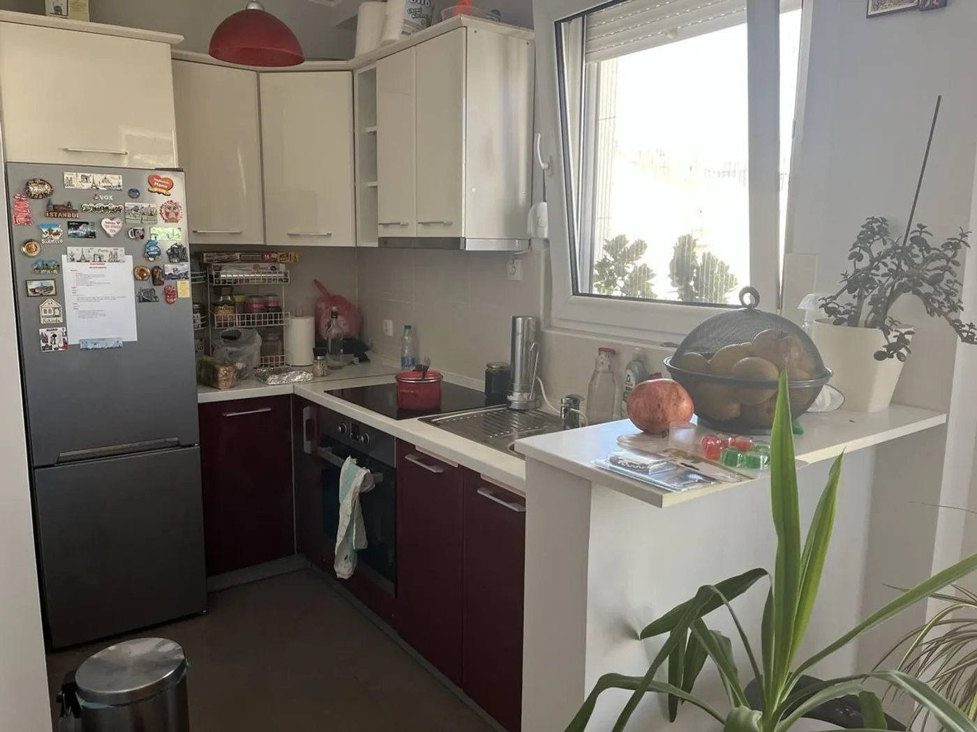 stan na prodaju Novi Sad 65m2 534113