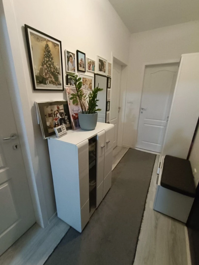 stan na prodaju Novi Sad 54m2 534364
