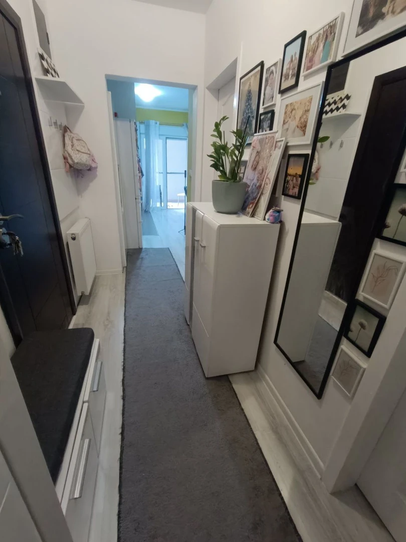 stan na prodaju Novi Sad 54m2 534364