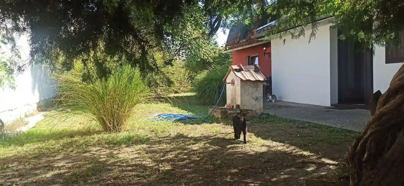 kuca na prodaju Novi Sad 101m2 535008