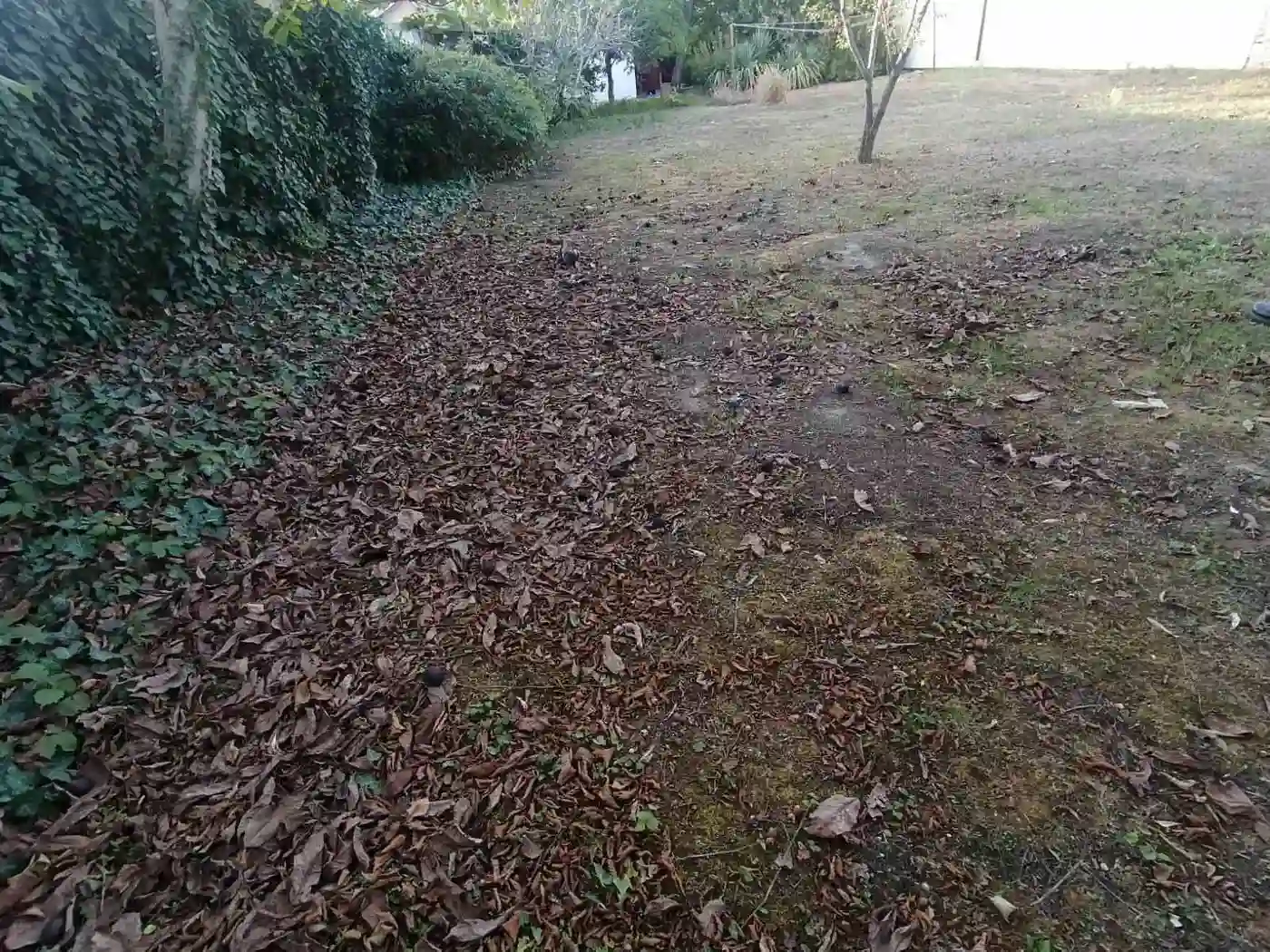 kuca na prodaju Novi Sad 101m2 535008