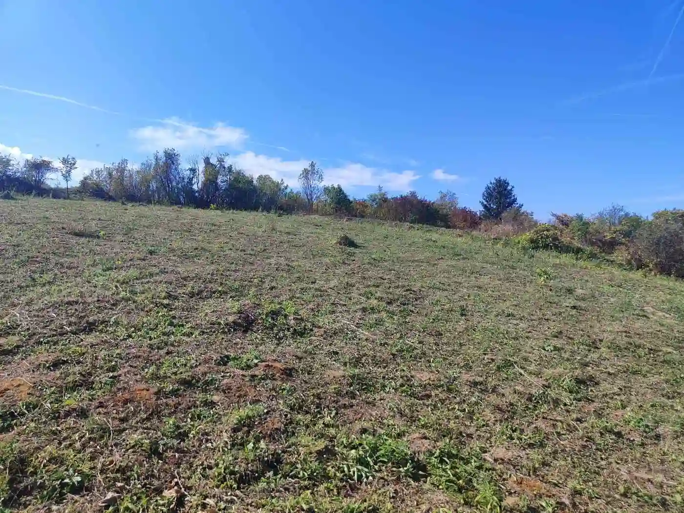 plac na prodaju Petrovaradin, 1966m2 535243