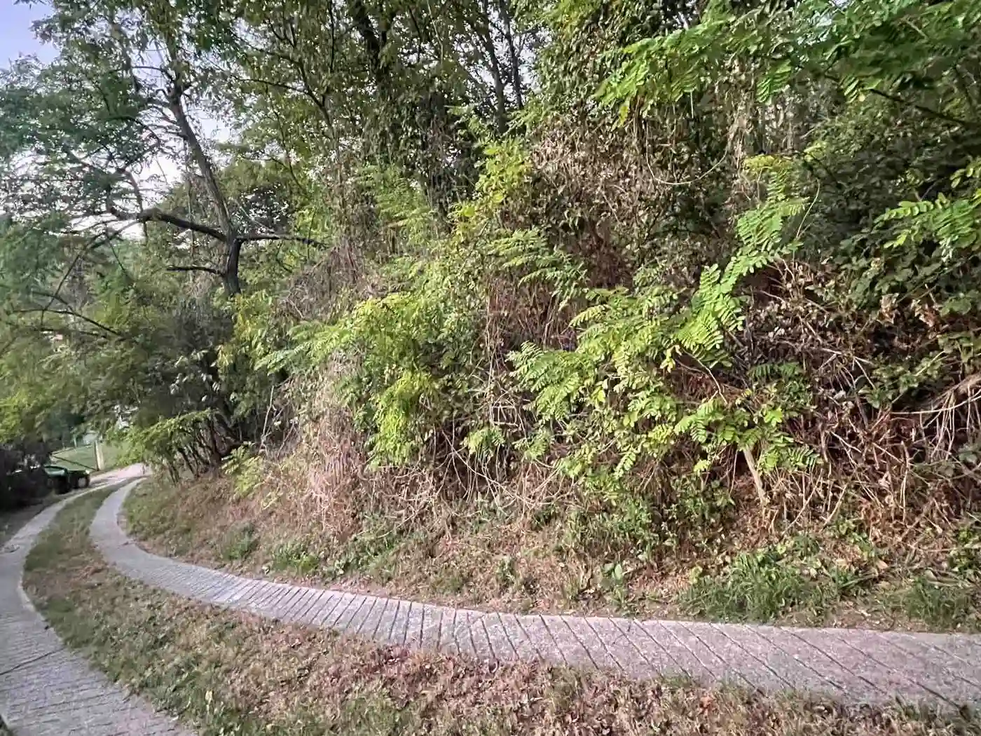 plac na prodaju Sremska Kamenica, 1390m2 529316