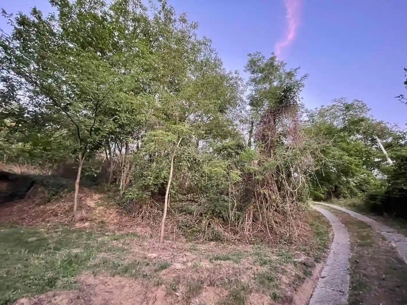 plac na prodaju Sremska Kamenica 1390m2 529316