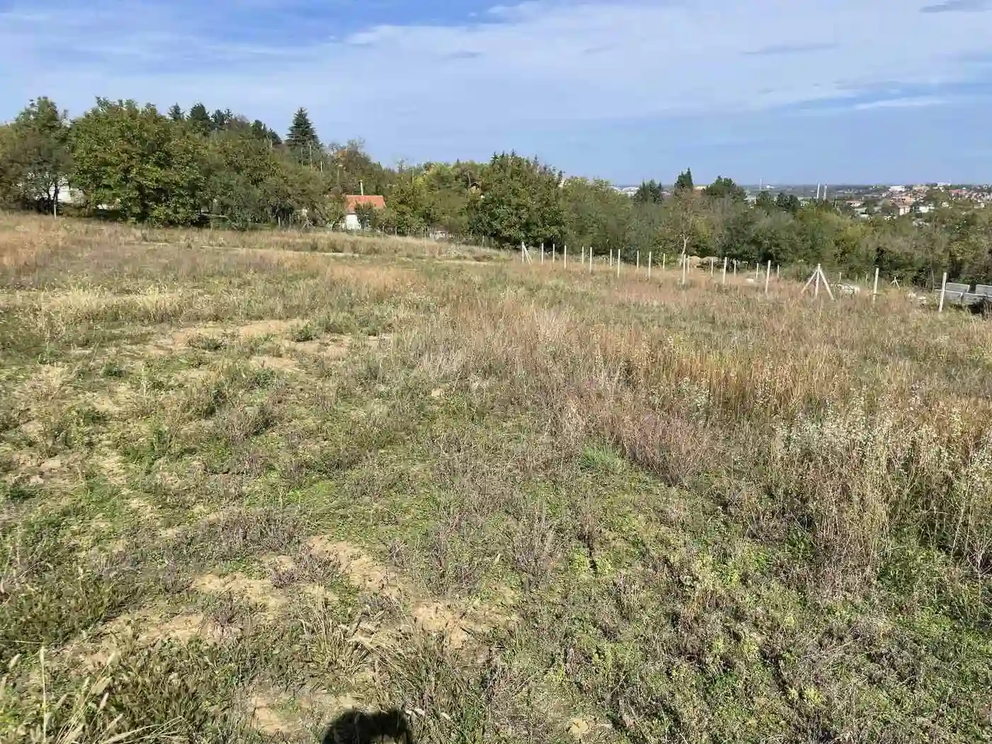 plac na prodaju Sremska Kamenica, 1150m2 535976