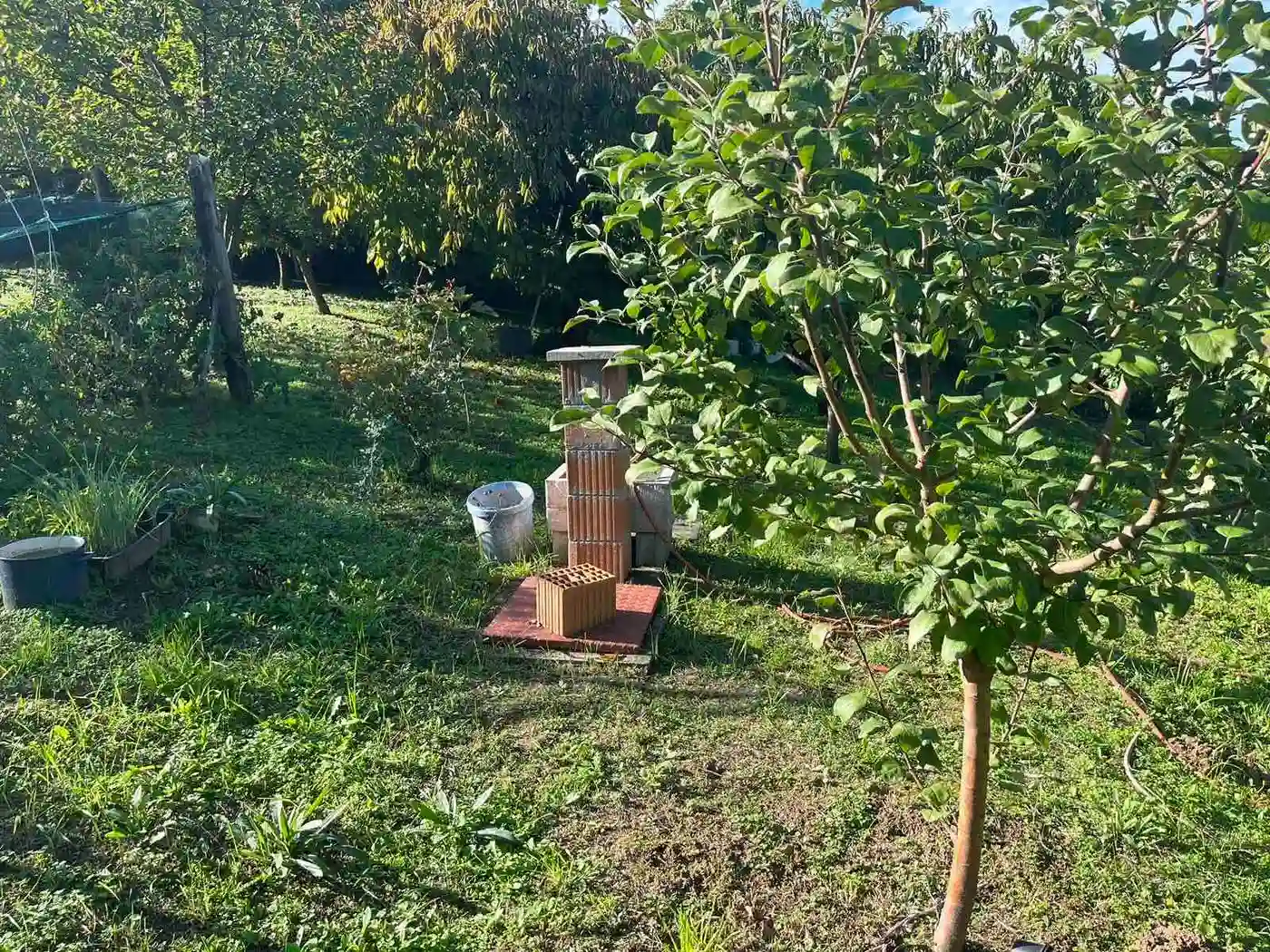kuca na prodaju Petrovaradin 60m2 535844
