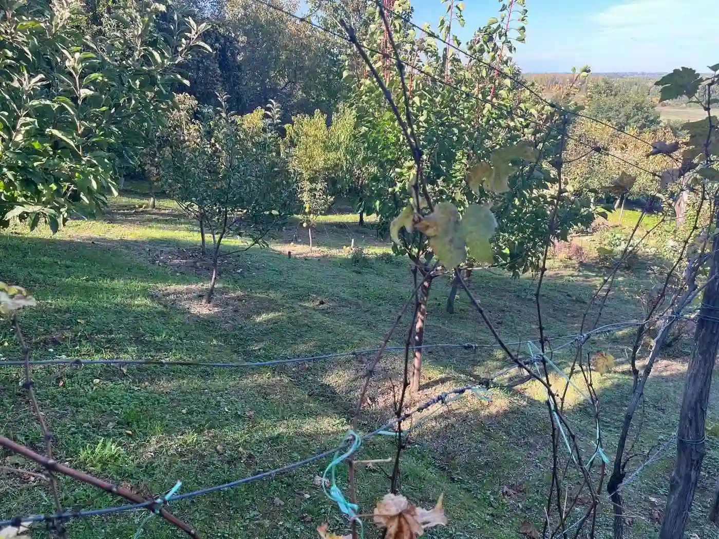 kuca na prodaju Petrovaradin 60m2 535844