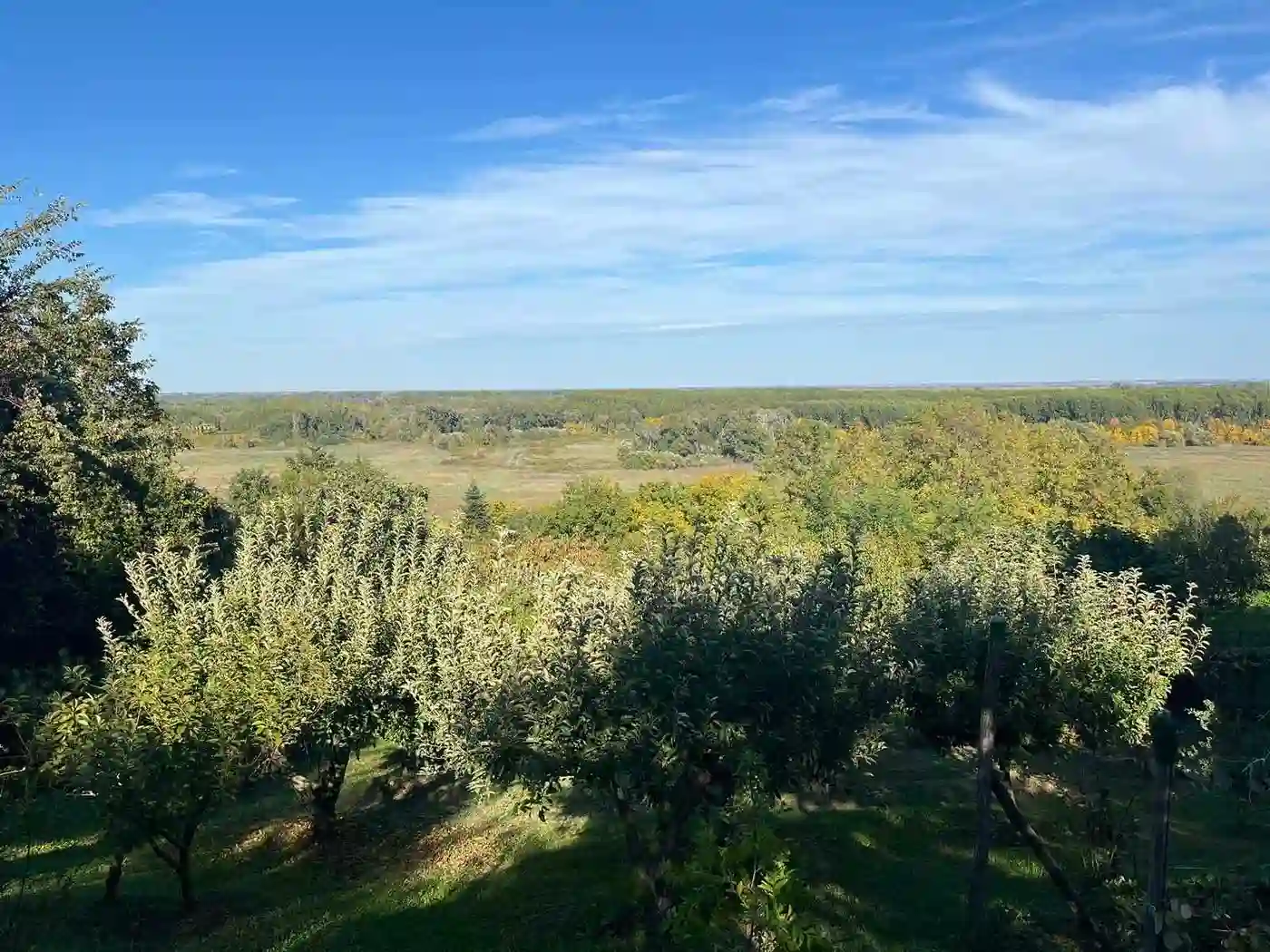kuca na prodaju Petrovaradin 60m2 535844
