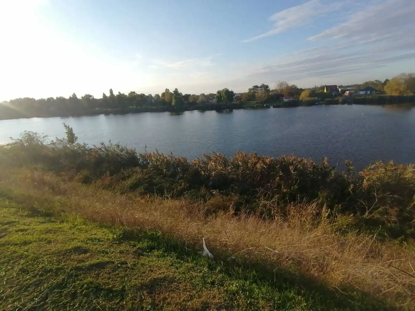kuca na prodaju Čurug 132m2 536154