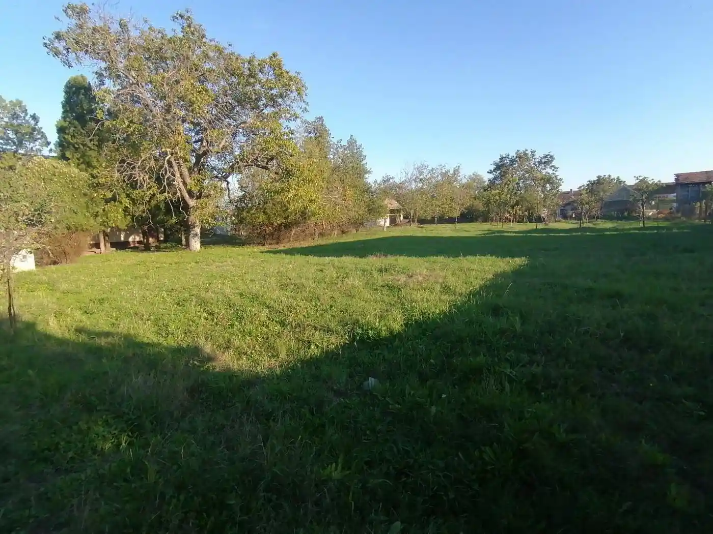kuca na prodaju Čurug 132m2 536154