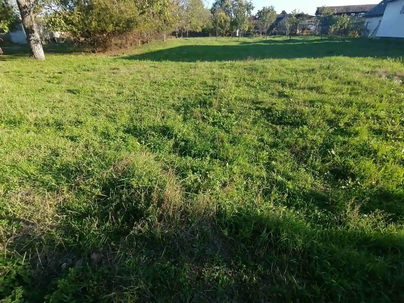 kuca na prodaju Čurug 132m2 536154
