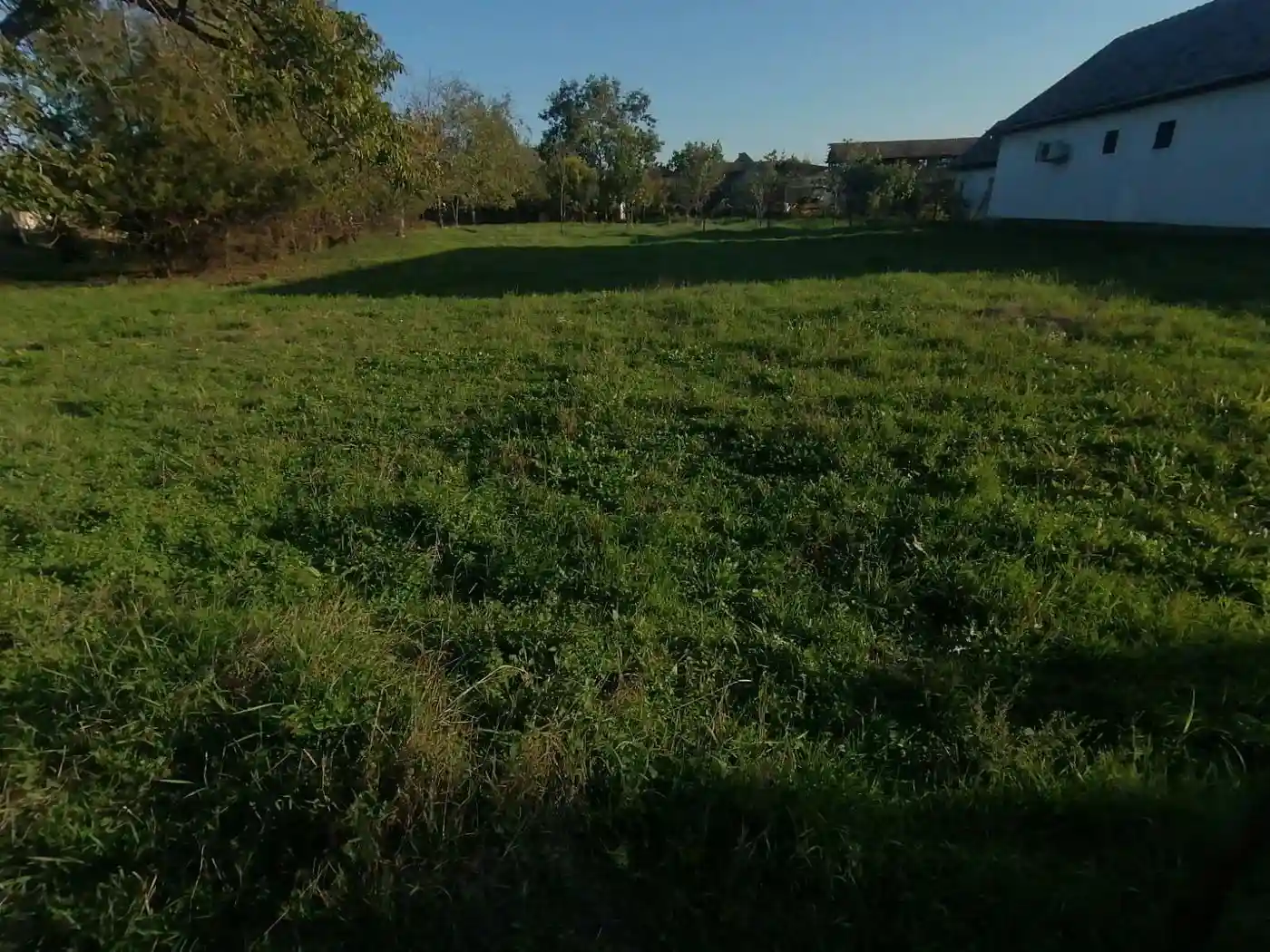 kuca na prodaju Čurug 132m2 536154