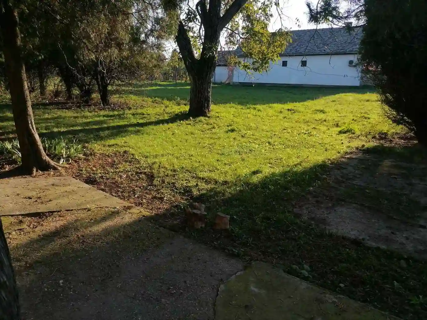 kuca na prodaju Čurug 132m2 536154