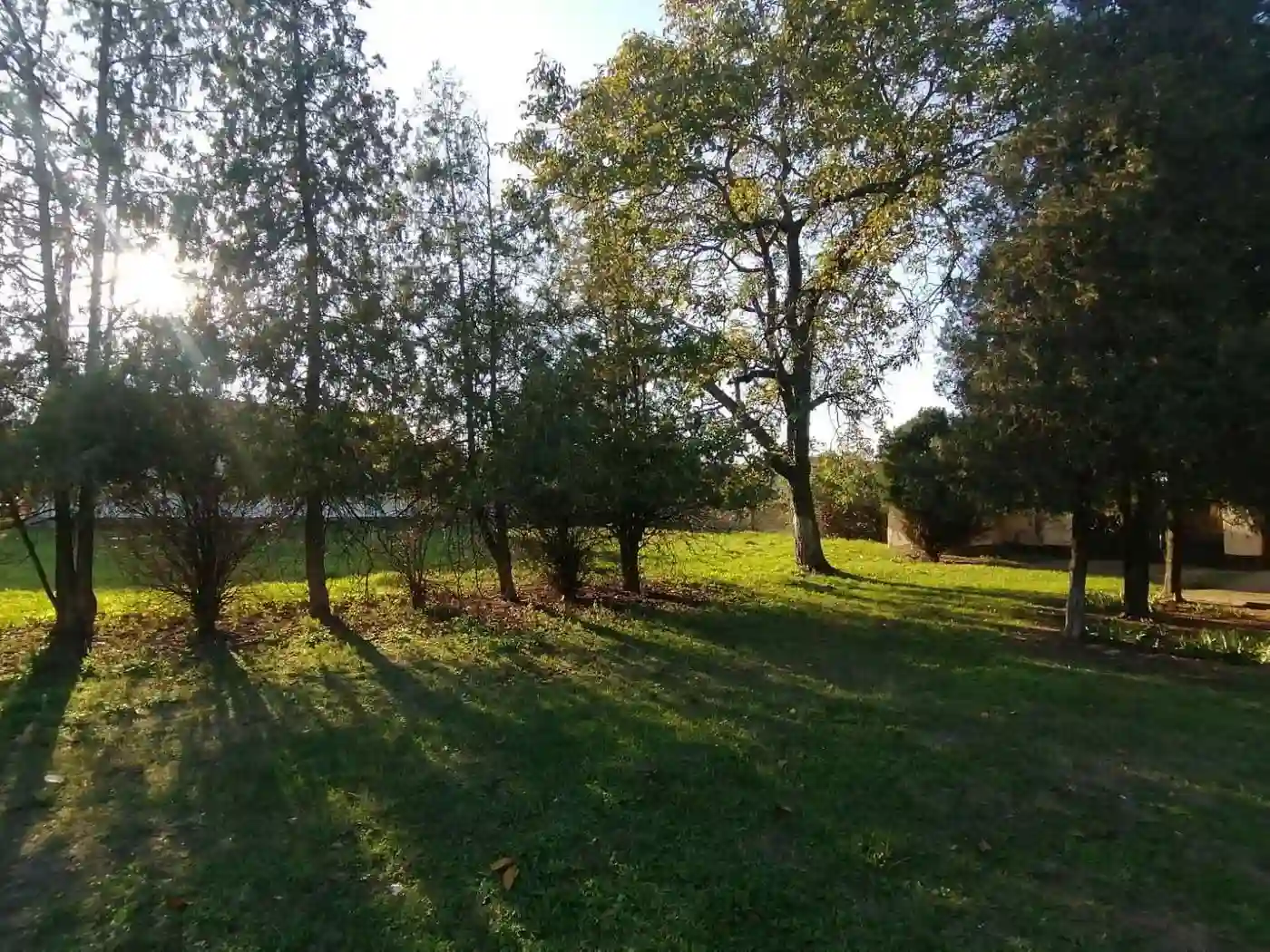 kuca na prodaju Čurug 132m2 536154