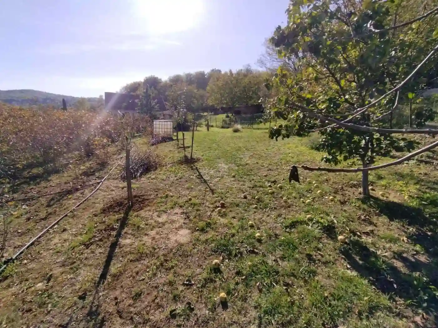 plac na prodaju Sremska Kamenica 4351m2 536382