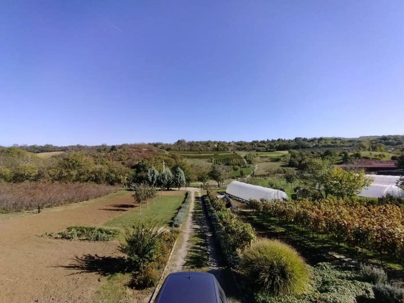 plac na prodaju Sremska Kamenica 4351m2 536382