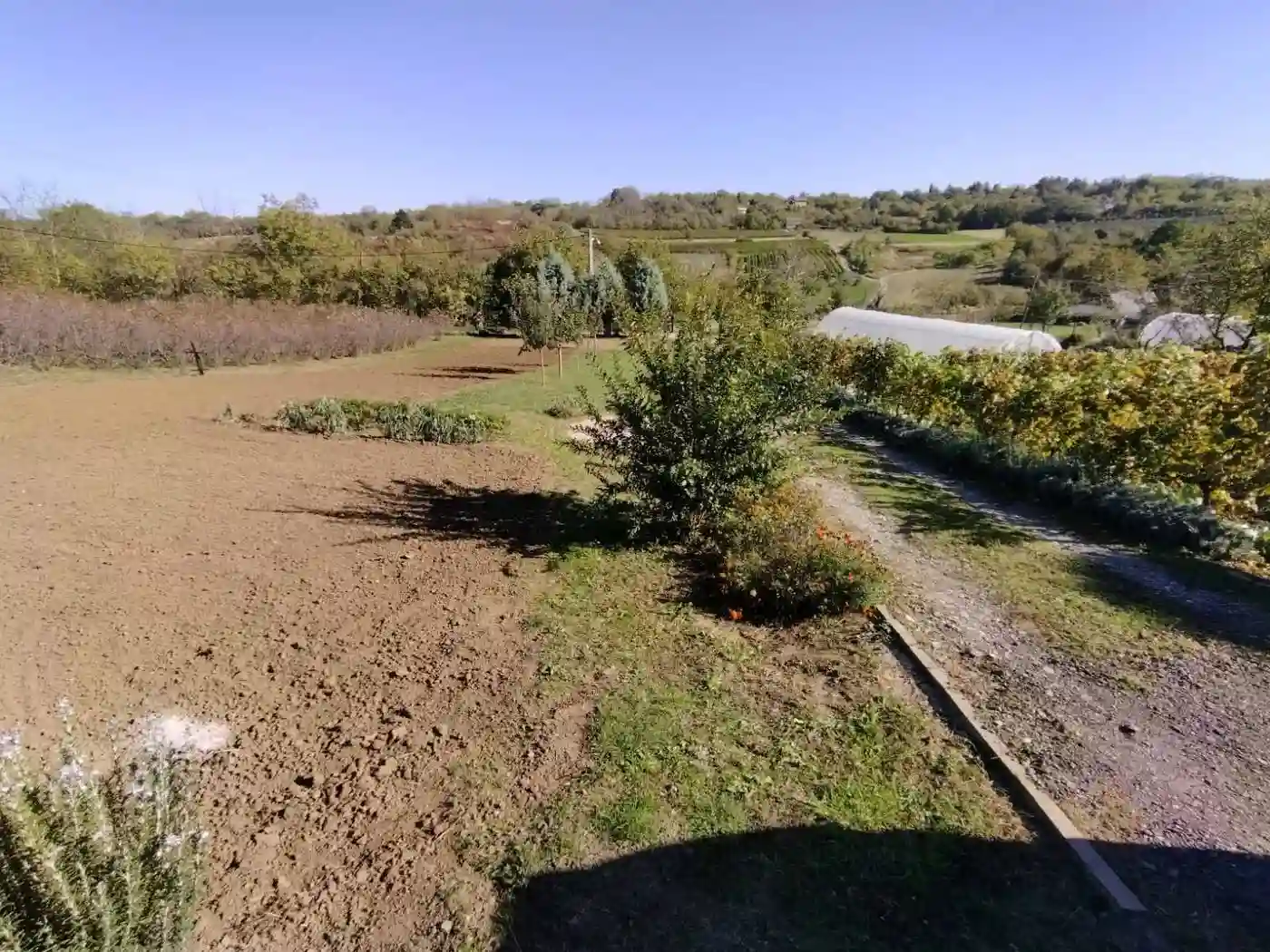 plac na prodaju Sremska Kamenica 4351m2 536382