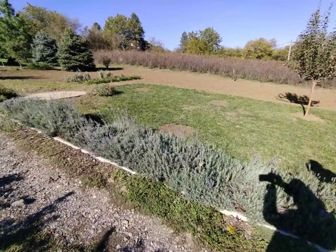 plac na prodaju Sremska Kamenica 4351m2 536382