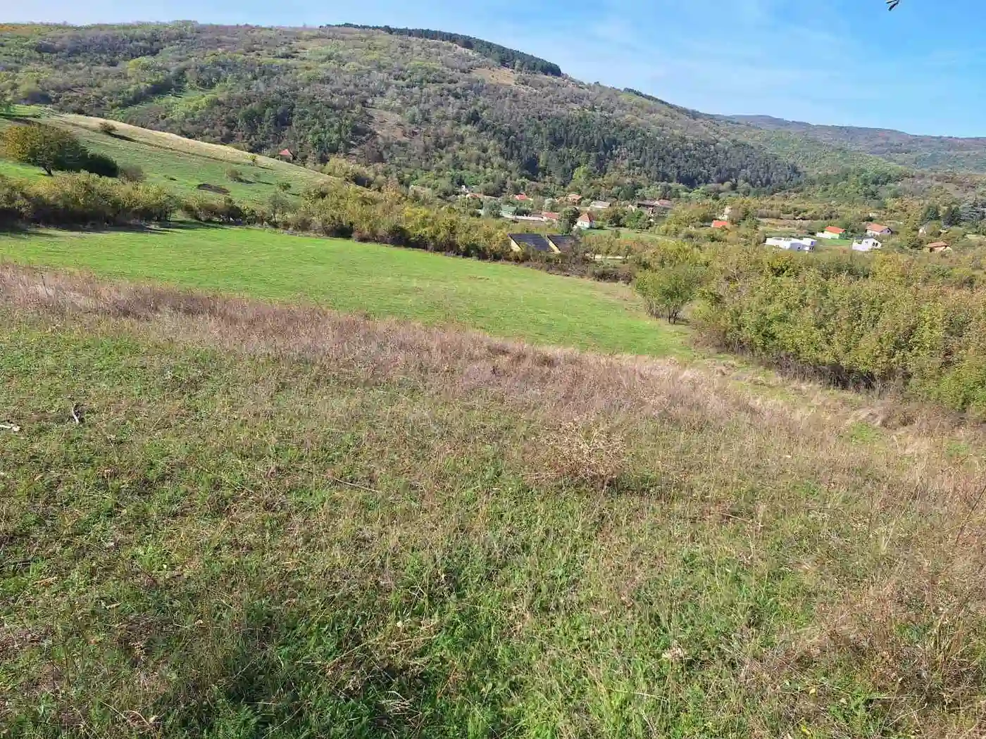 plac na prodaju Jazak 8974m2 536261