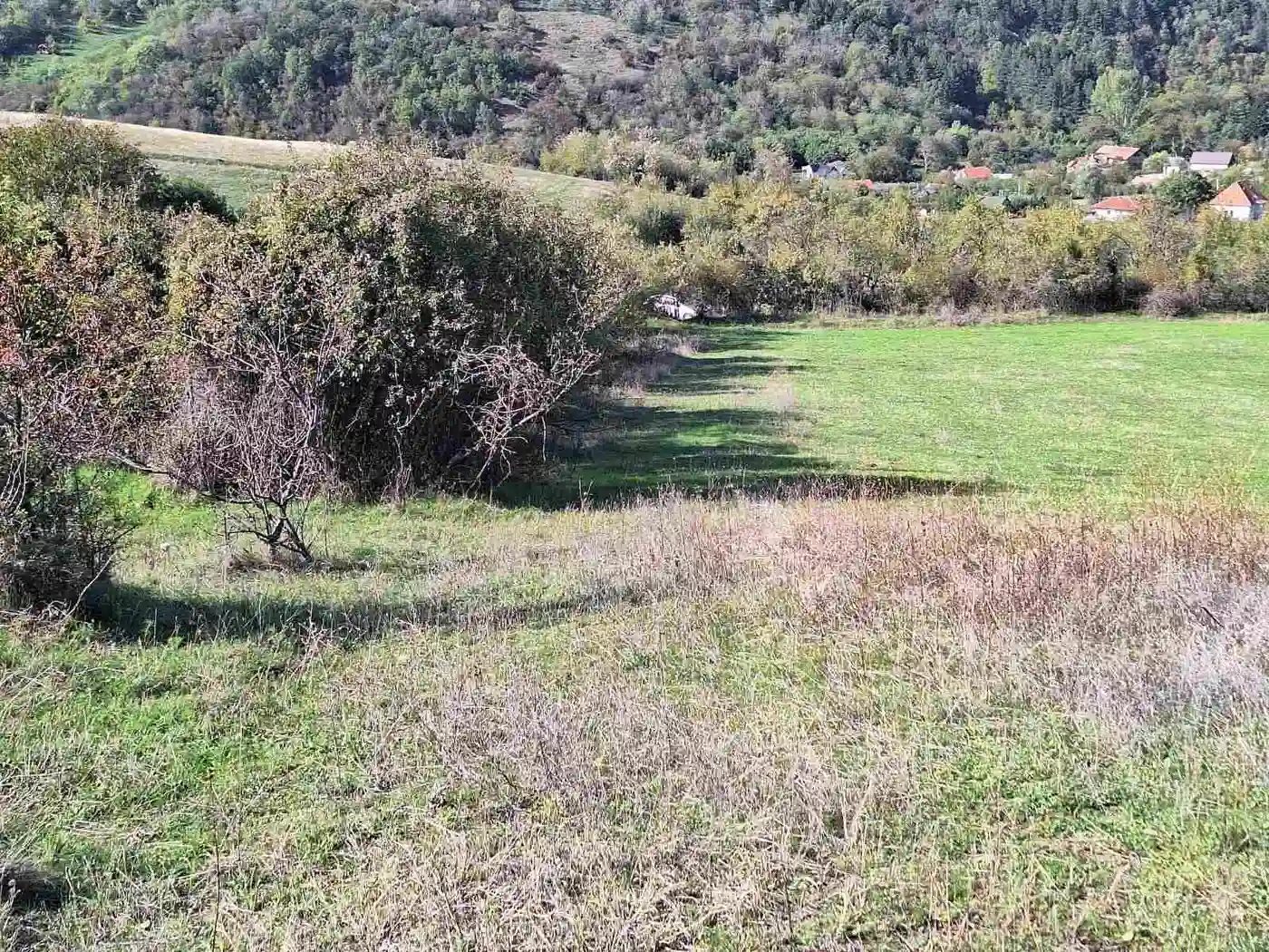 plac na prodaju Jazak 8974m2 536261