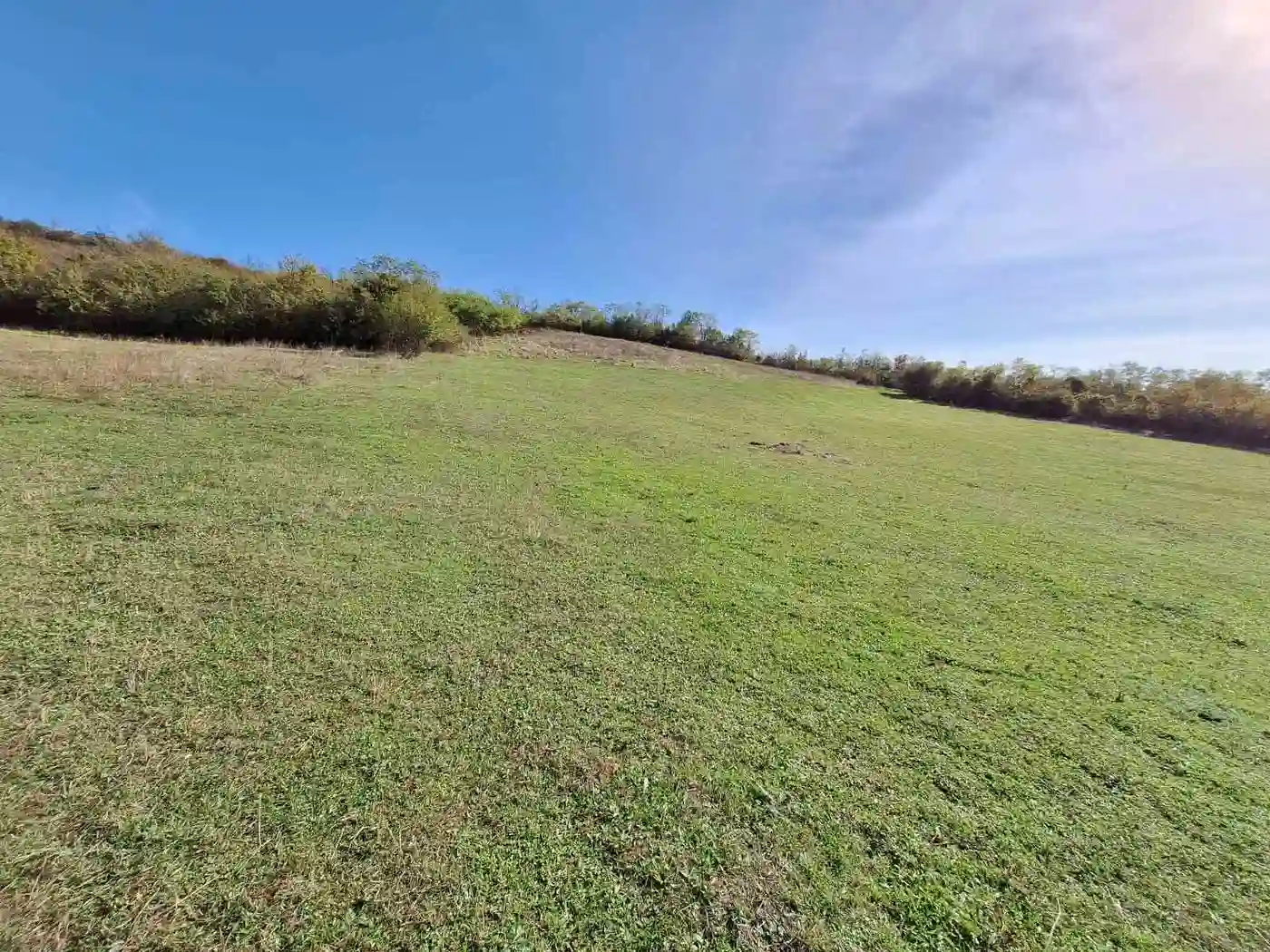plac na prodaju Jazak 8974m2 536261