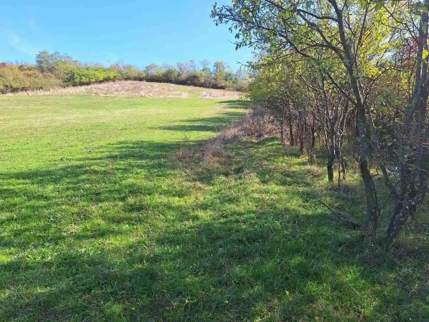 plac na prodaju Jazak 8974m2 536261