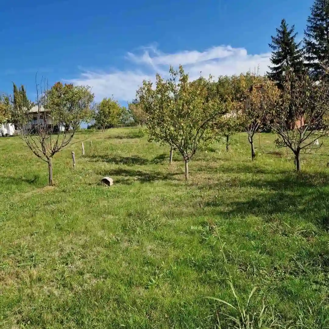 kuca na prodaju Krušedol 95m2 536618