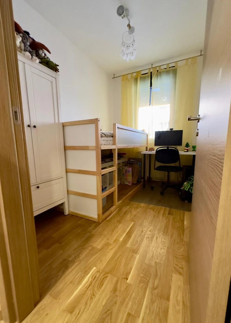 stan na prodaju Novi Sad 52m2 537613