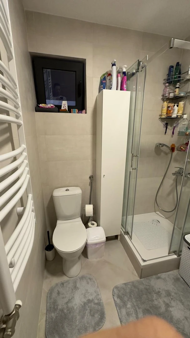 stan na prodaju Novi Sad 52m2 537613