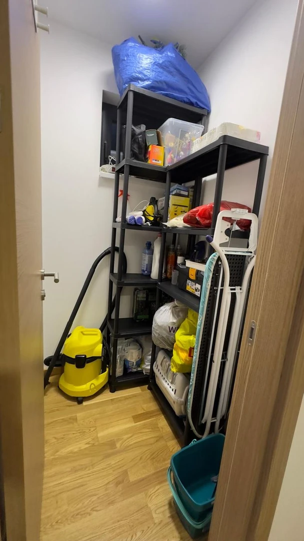 stan na prodaju Novi Sad 52m2 537613