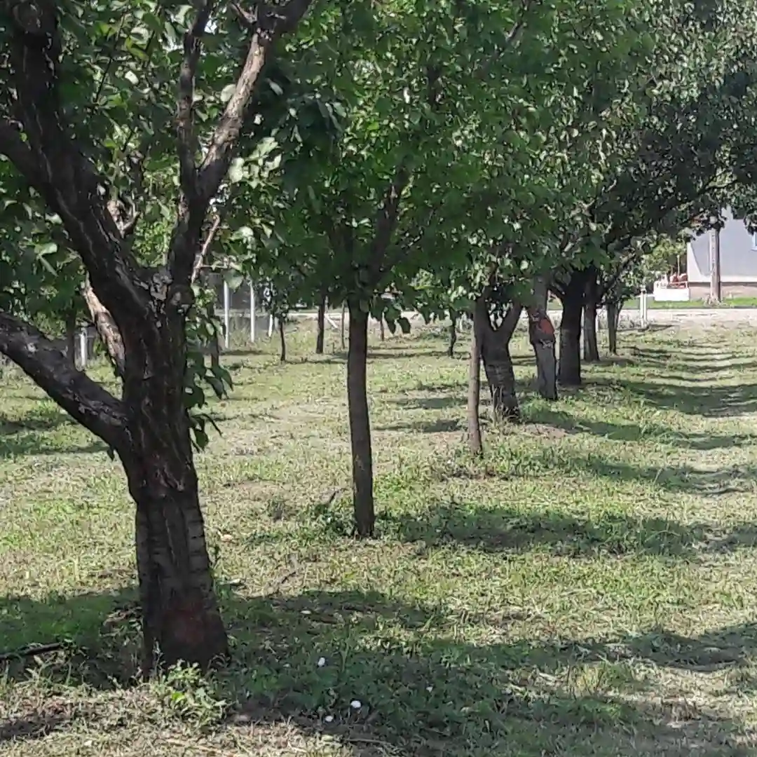 plac na prodaju Temerin 2971m2 537680