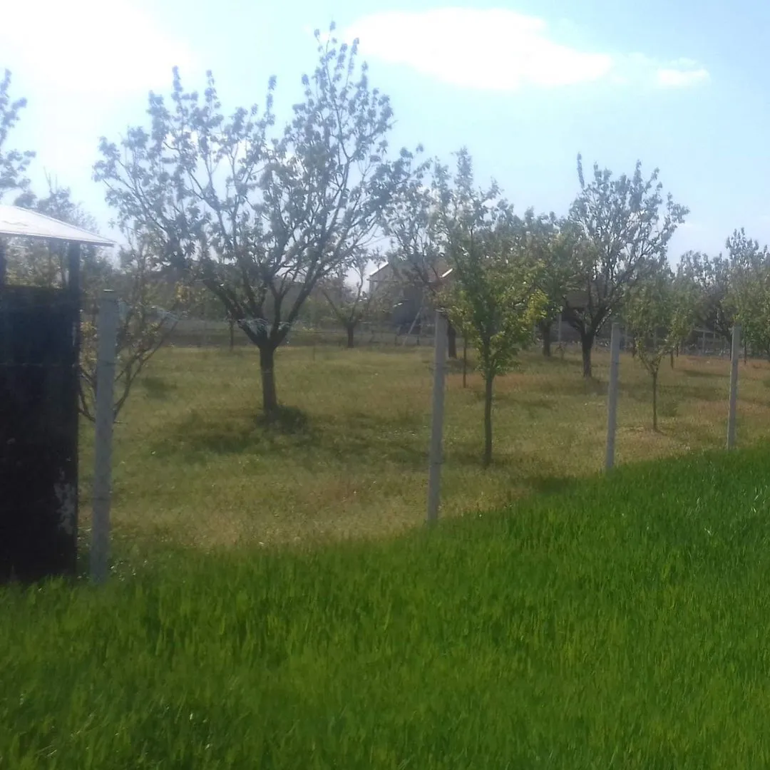 plac na prodaju Temerin 2971m2 537680