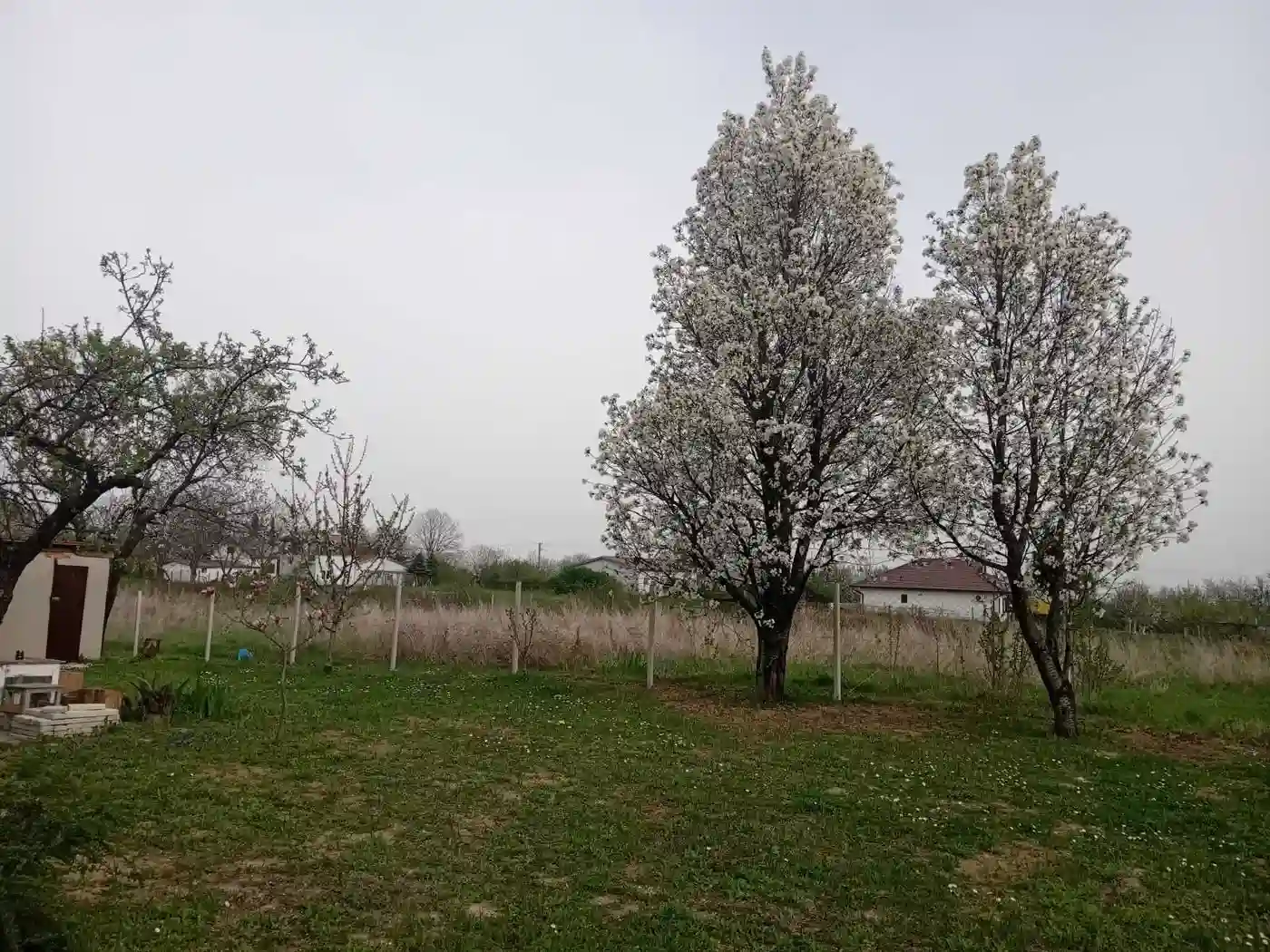 kuca na prodaju Krušedol 40m2 537107