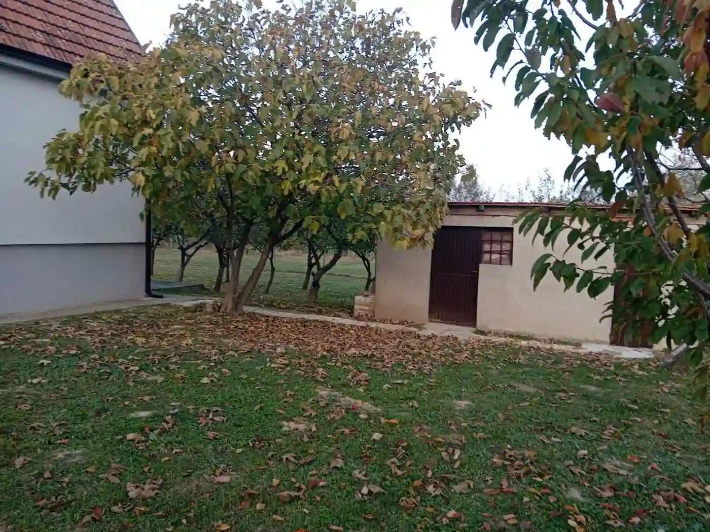 kuca na prodaju Krušedol 40m2 537107