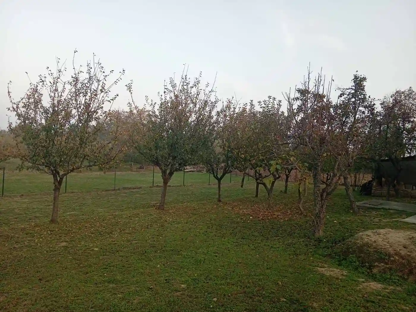 kuca na prodaju Krušedol 40m2 537107