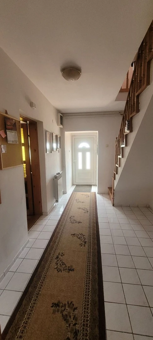 kuca na prodaju Novi Sad 180m2 537685