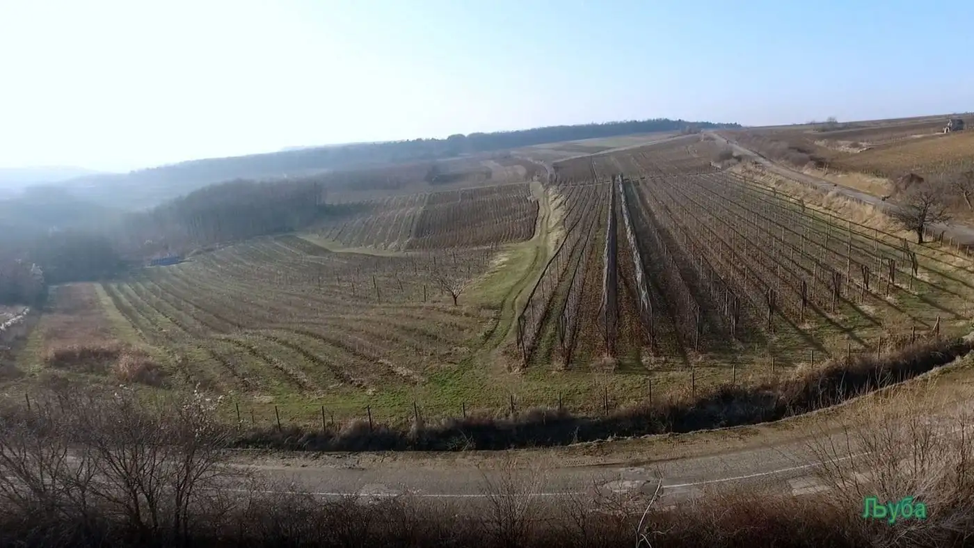 plac na prodaju Šid 119898m2 538105