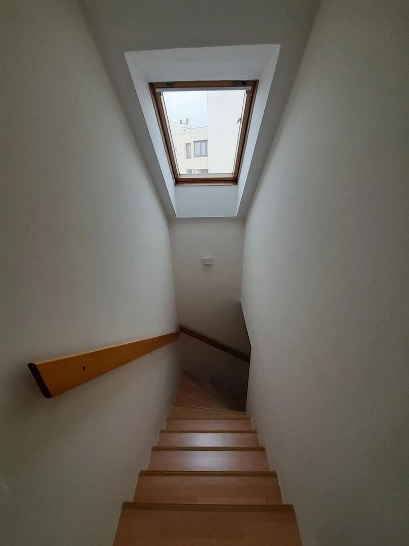 stan na prodaju Novi Sad 124m2 538236
