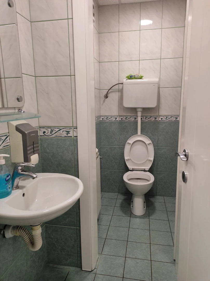 lokal na prodaju Novi Sad 180m2 538451