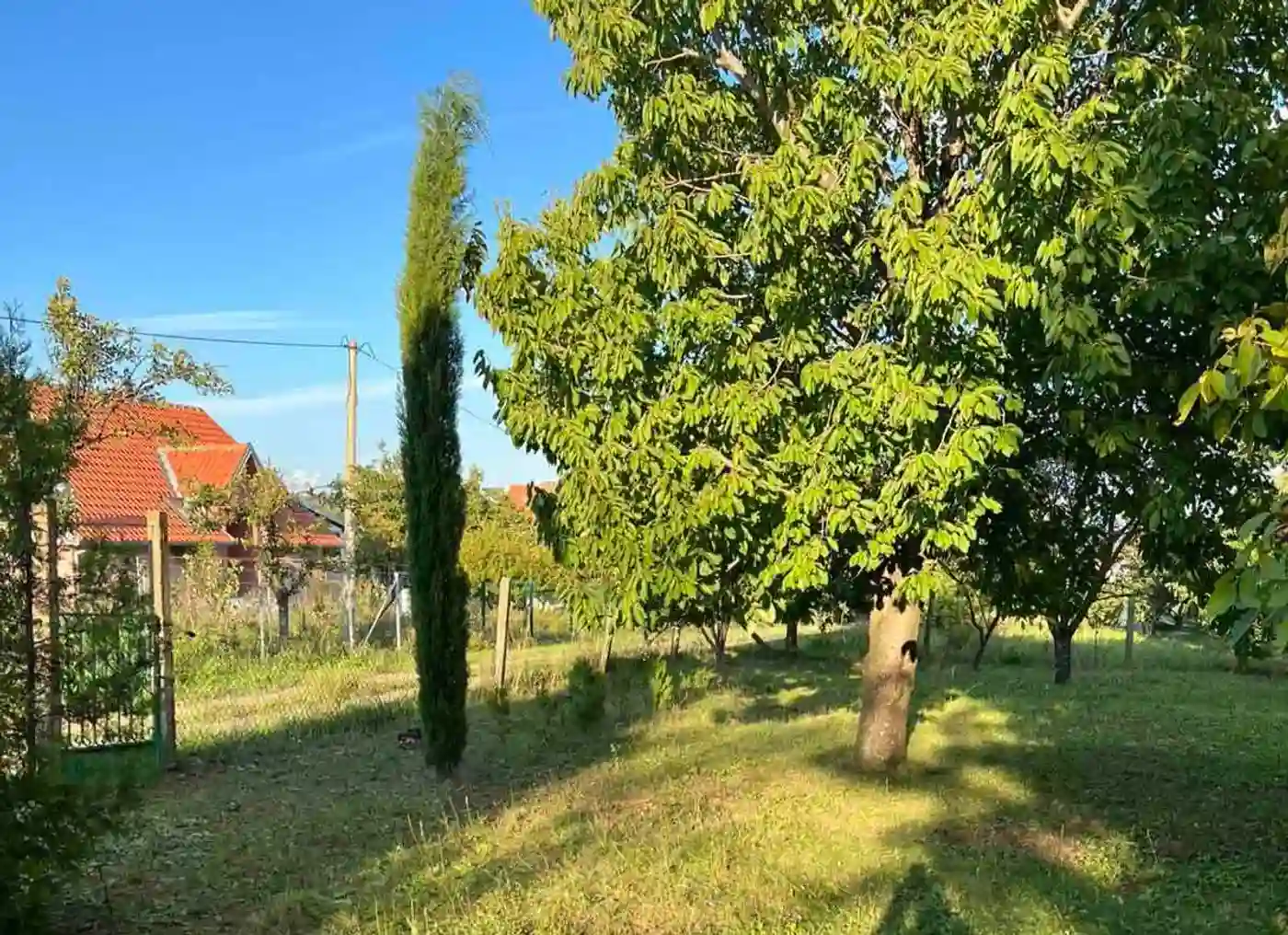 plac na prodaju Vrdnik 1500m2 539262