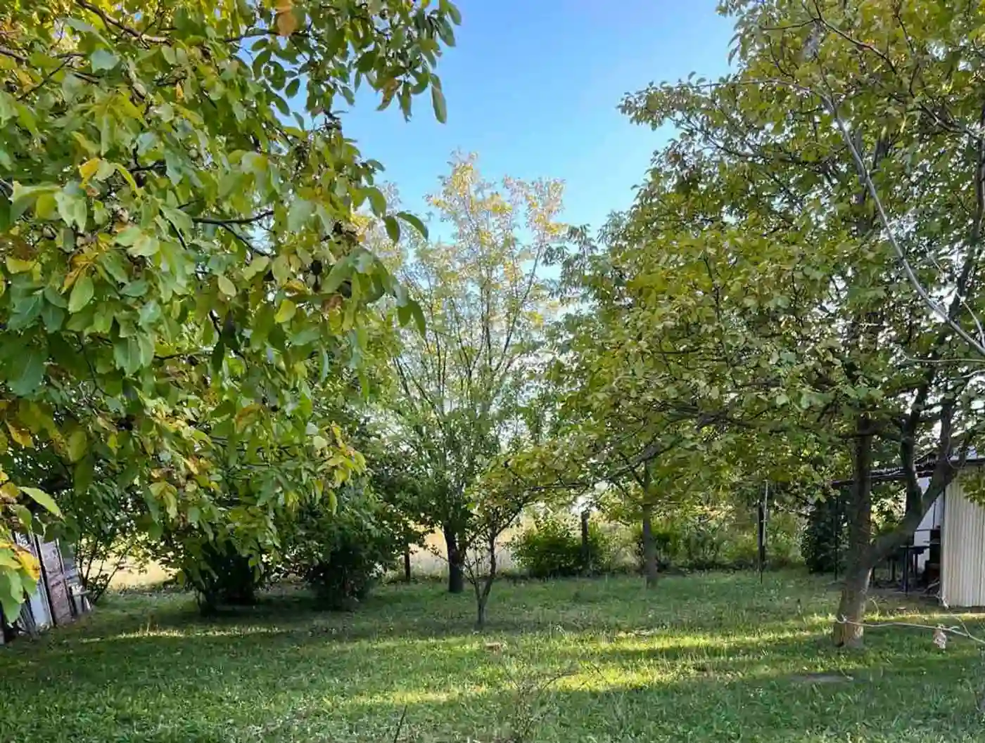plac na prodaju Vrdnik 1500m2 539262
